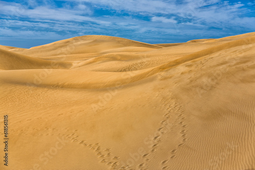 Maspalomas Duna - Desert in Canary island Gran Canaria © Andrei Starostin