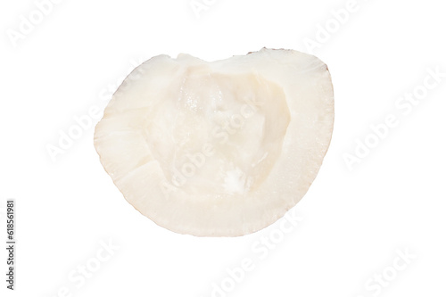 Piece, part of a coconut without the shell on a white background.