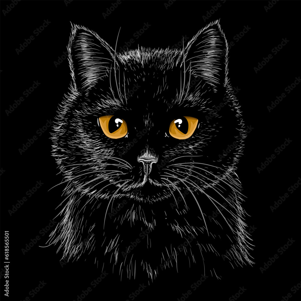 Vector illustration of a muzzle of a black cat with amber eyes in the style of engraving