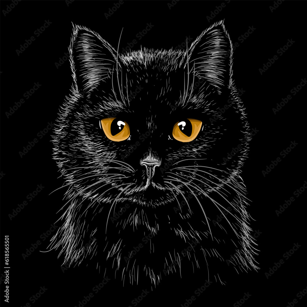 Vector illustration of a muzzle of a black cat with amber eyes in the style of engraving Vector illustration of a muzzle of a black cat with amber eyes in the style of engraving