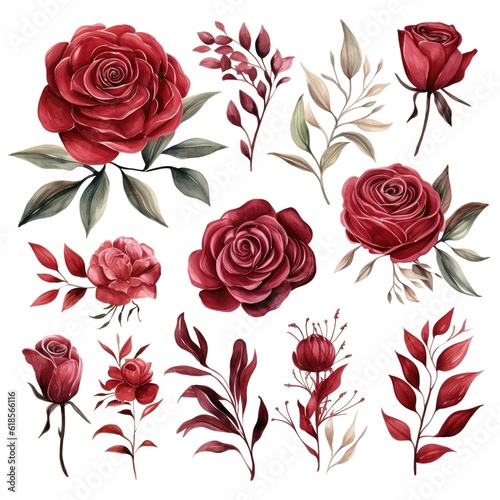 Set watercolor elements of roses collection garden red, burgundy flowers, leaves, branches. Flat hand-drawn illustration isolated on white background © LELISAT