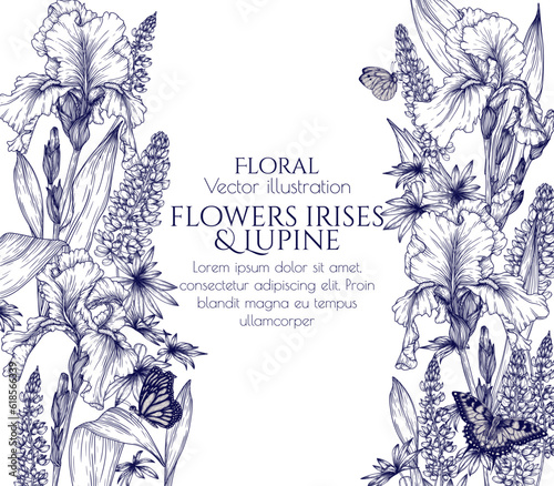 Vector frame of iris and lupine flowers with butterflies in engraving style