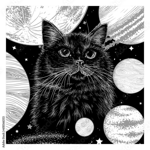 Vector illustration of a black cat in engraving style on a background of space