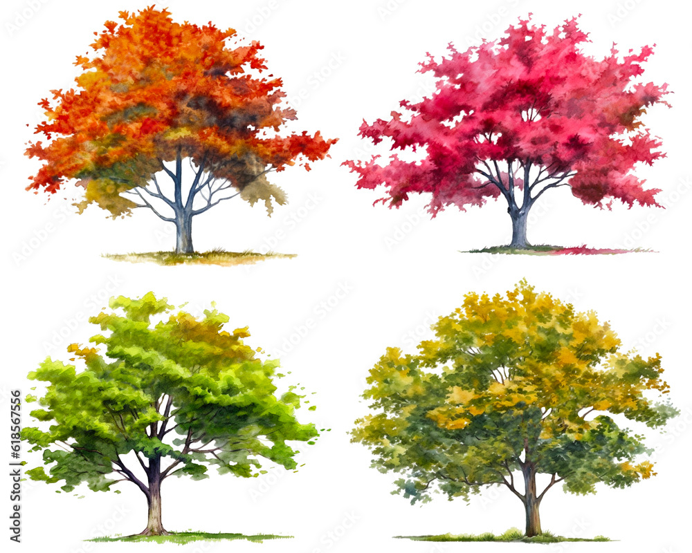 Collection of watercolor difference color tree isolated on white ...