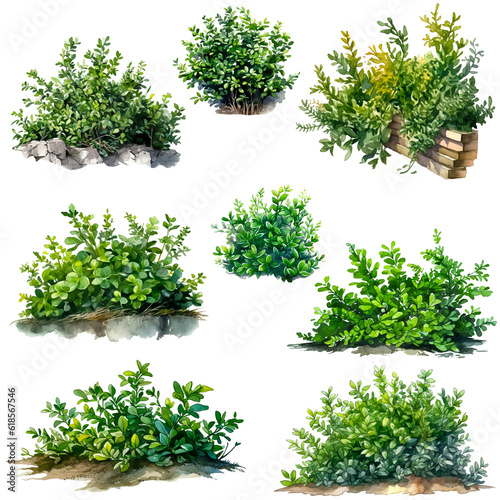 Collection of watercolor green bush isolated on white background. PNG transparent background. AI Generative. 