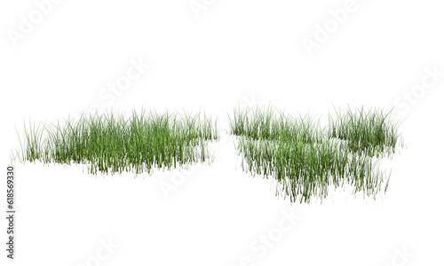 green grass on transparent background. 3d rendering