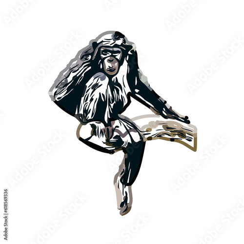 Photography monkey color sketch with transparent background