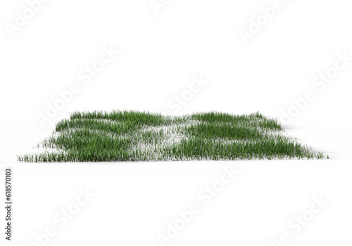 grass patch isolated on transparent background