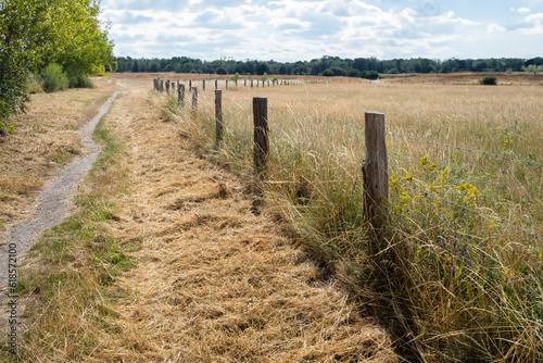 path in the countryside with fence and meadow