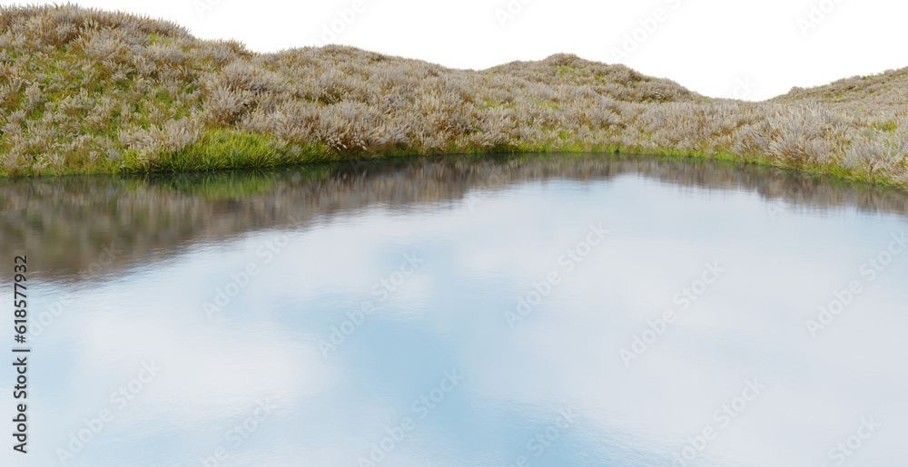 Realistic flower field and river. 3d rendering of isolated objects.