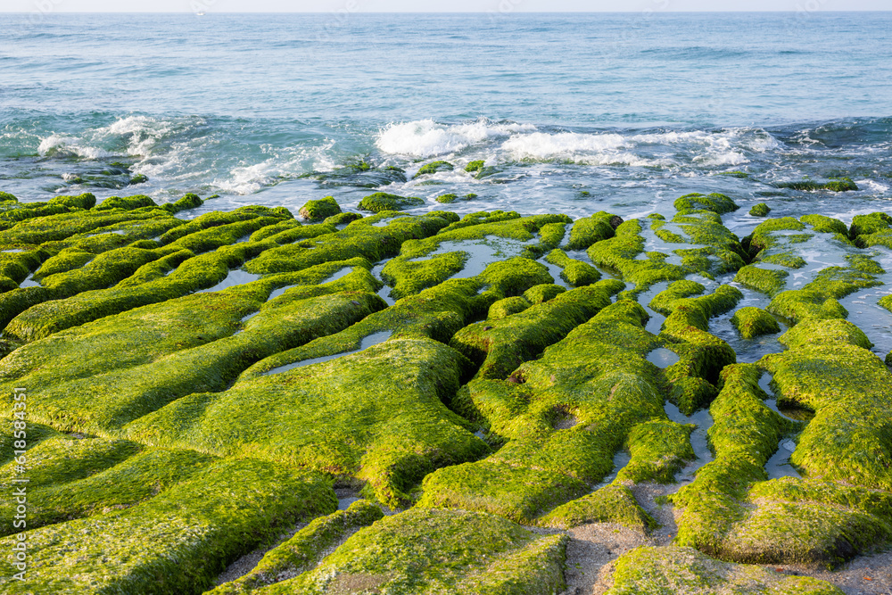 Obraz premium Laomei Green Reef in Taiwan at sunny day