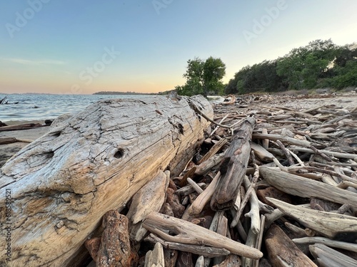 stump on the shore © Stouthouse Design