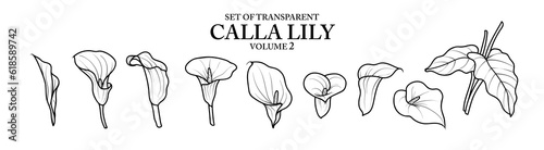 Cute hand drawn isolated black outline of calla lily on transparent background png file (Volume 2)