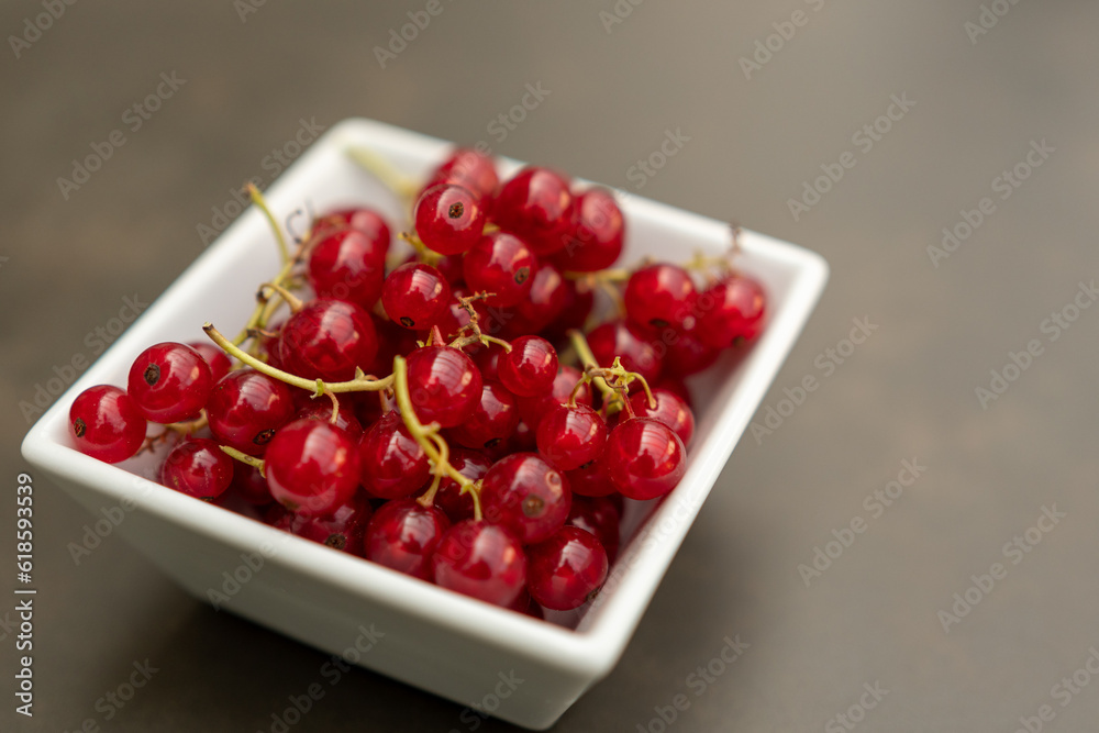 Frische Johannisbeere nach dem Ernten in weisser Schale mit textfreiraum Frische Johannisbeere nach dem Ernten in weisser Schale mit textfreiraum