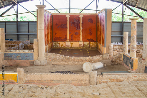 Wallpaper Mural Detail of the House of the Griffins, one of the most famous remains within the archaeological site of Complutum, a Roman City located in Alcala de Henares, Madrid, Spain. Torontodigital.ca