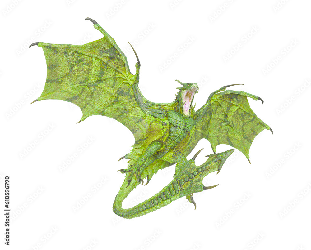 Naklejka premium dragon is landing to attack on white background