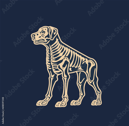 Vector illustration of a dog with visible skeleton