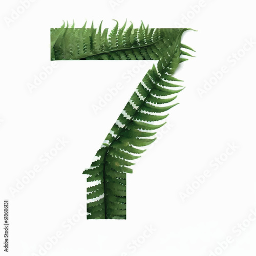 number seven in fern on a white screen