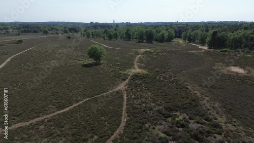 Scenic aerial view of a heather landscape in nature reserve 