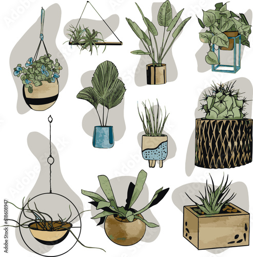 A set of stickers with indoor plants in flowerpots for the interior