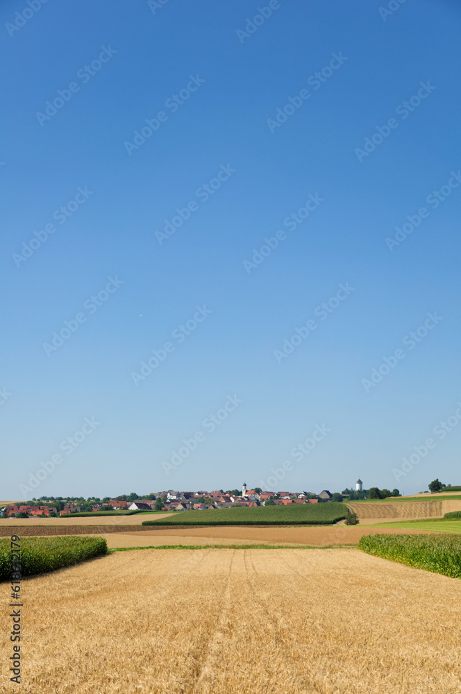 Landscape in the summer in Germany. With barley (Hordeum vulgare) and a village in southern Germany