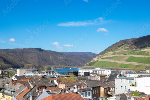 City on the river with much houses, grapes, vineyard, mountains. © Iryna