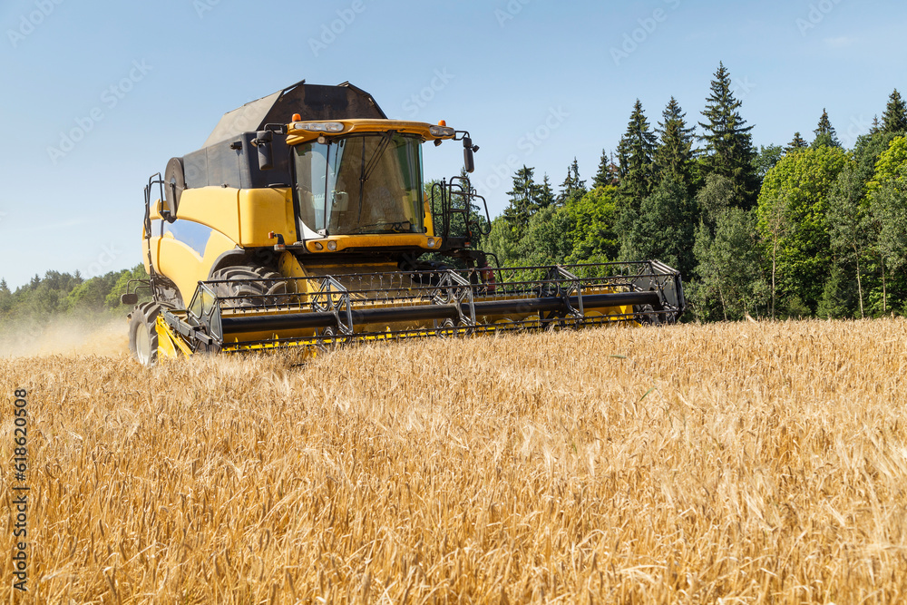 Obraz premium Harvesting with combines