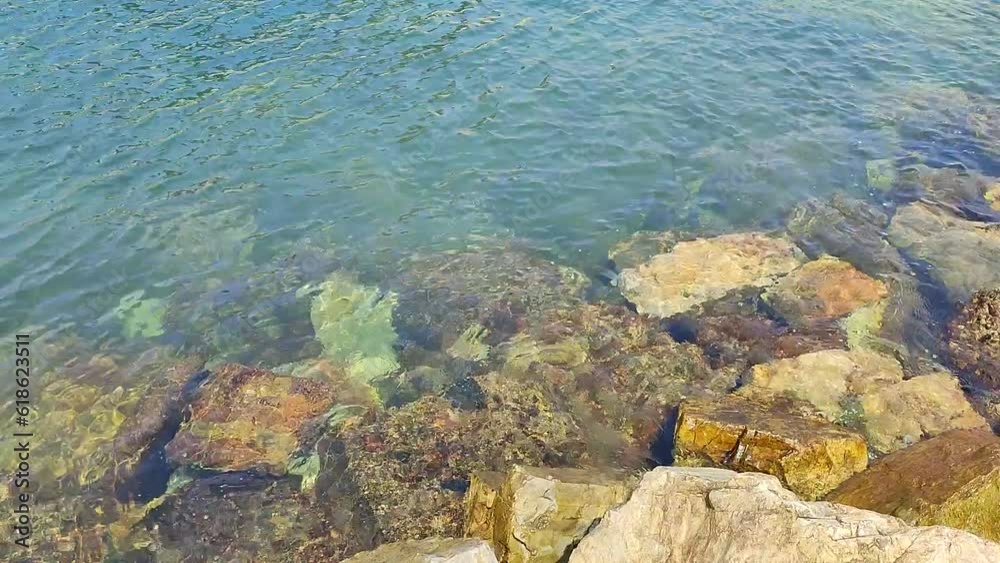 Vibrant Underwater Seascape with Crystal Clear Water and Rocky Seabed - High Definition Video Footage Vibrant Underwater Seascape with Crystal Clear Water and Rocky Seabed - High Definition Video Footage