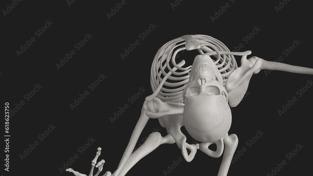 skeleton posing 3d render with black background skeleton posing 3d render with black background