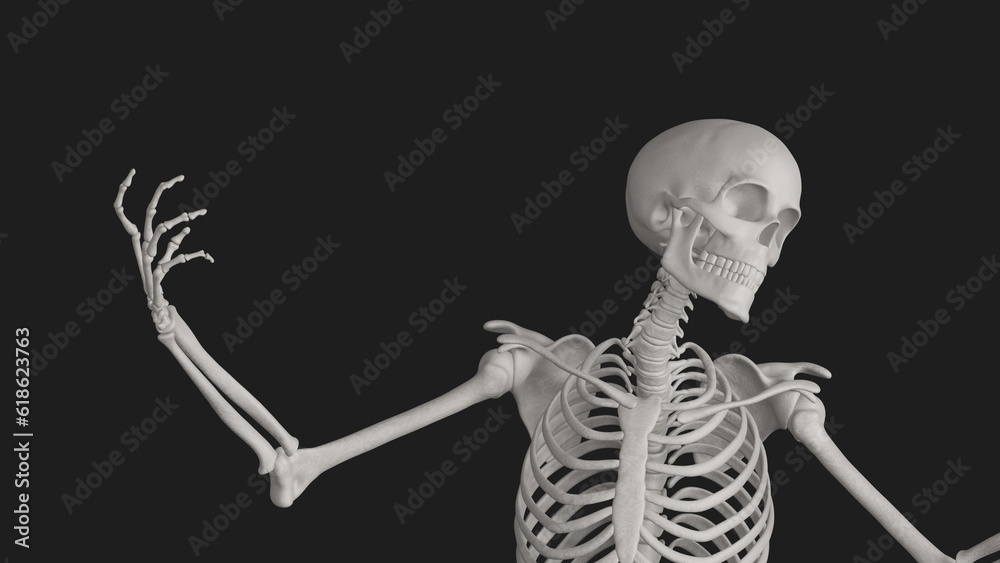skeleton posing 3d render with black background