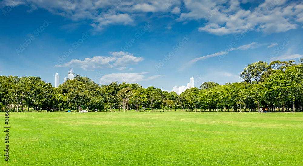 beautiful park with beautiful trees in the background