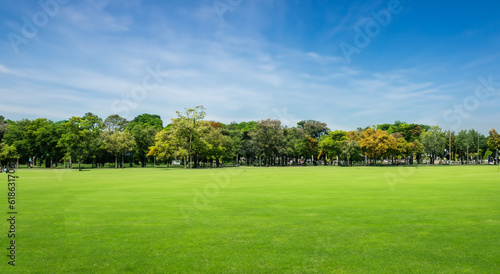 beautiful park with beautiful trees in the background in high definition