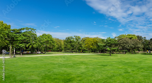 beautiful park with a large lawn and trees background