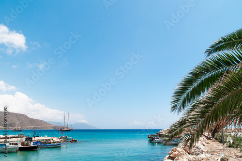 Beach with palm trees.