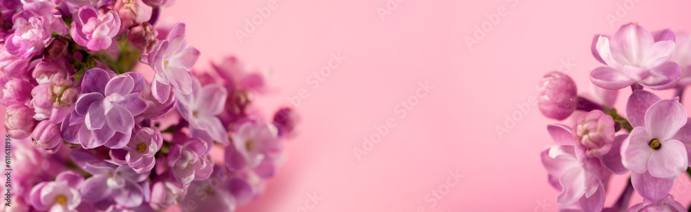 Beautiful lilac flower very close up against gentle pink background with space for text. Floral banner for your promo.