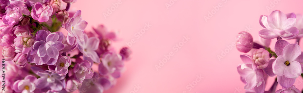 Beautiful lilac flower very close up against gentle pink background with space for text. Floral banner for your promo. Beautiful lilac flower very close up against gentle pink background with space for text. Floral banner for your promo.