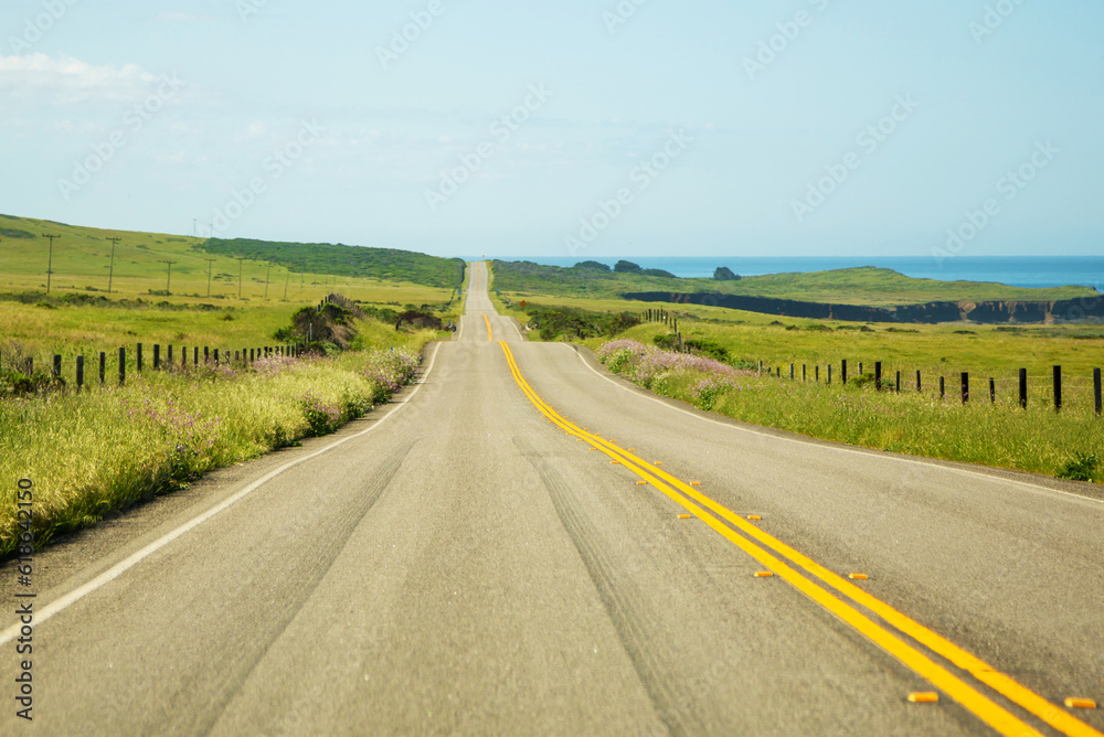 Road stretches into the distance against the backdrop of green meadows and the sea. Asphalt road with a dividing strip goes into the distance. Tire tracks on a road stretching into the distance