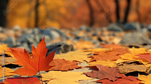 Colorful autumn leaves scattered on the ground - Autumn leaves background