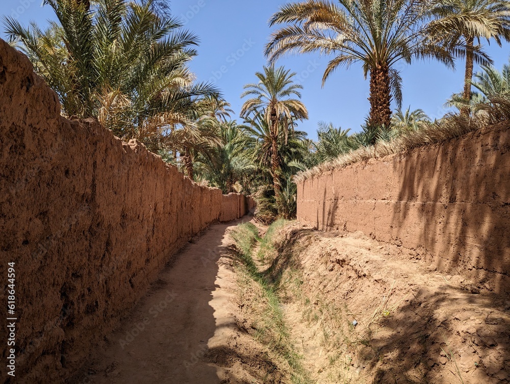 A hiker in a scenic agriculture landscape in the beautiful Draa valley, palm groves surrounding the hiking path