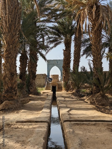 Walking through the Igrane garden near Merzouga, a typical agricultural oasis with small canals photo