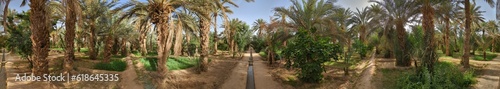 Walking through the Igrane garden near Merzouga, a typical agricultural oasis with small canals