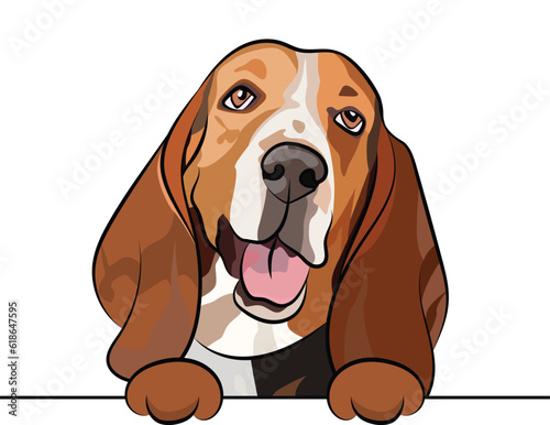 Funny basset hound dog with paws in a pocket,  vector illustration. Funny dog smiling. Cute dog head on a white background, isolated logo. Hand-drawn mascot. Funny dog muzzle over a white wall. BFF. 