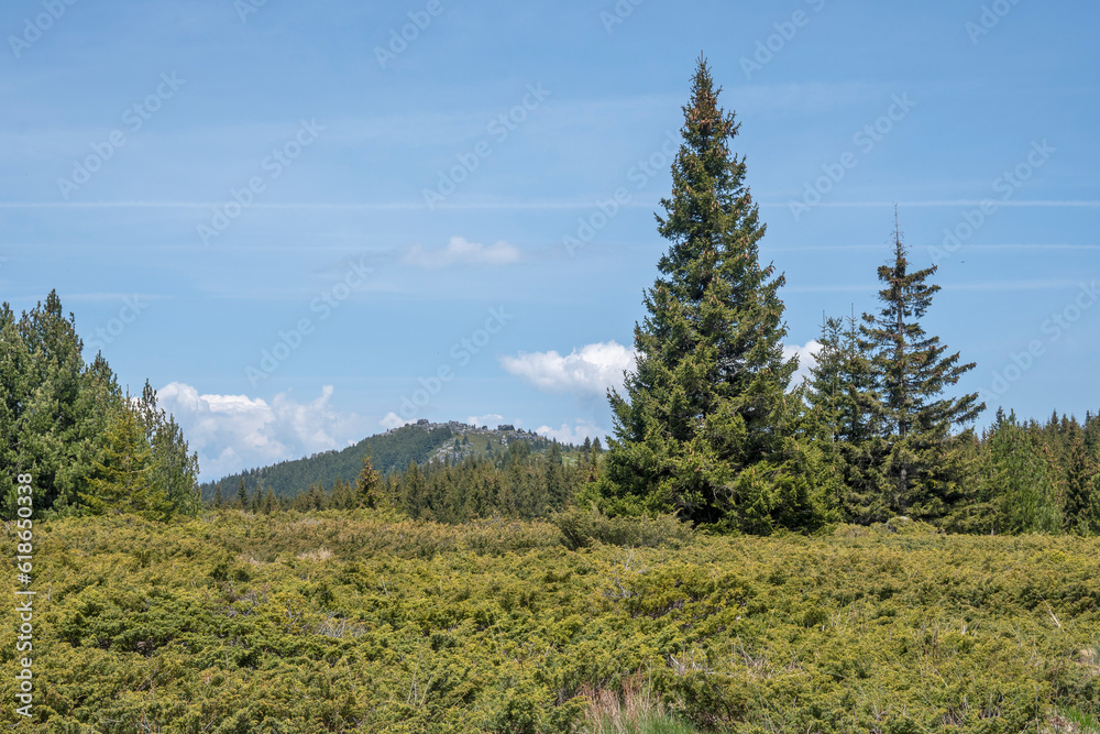 Spring view of Konyarnika area at Vitosha Mountain, Bulgaria