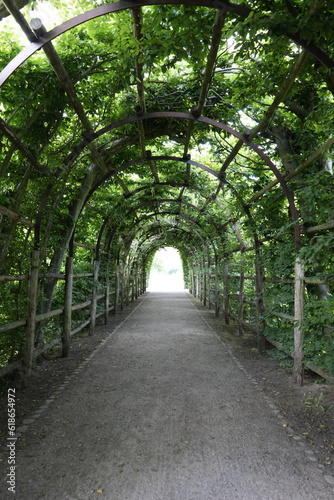 pedestrian tunnel of natural trees and leaves, green arch, shady park path formed by nature, in schwerin germany