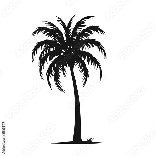 Summer vibe vector graphic, ice cream, sea star, flip flops, drink, sunglasses, palm trees, sunbed