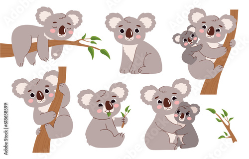Cute koala on branch set