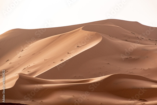 Picturesque dunes in the Erg Chebbi desert  part of the African Sahara