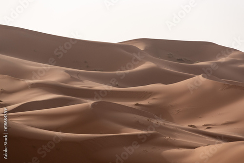 Picturesque dunes in the Erg Chebbi desert, part of the African Sahara