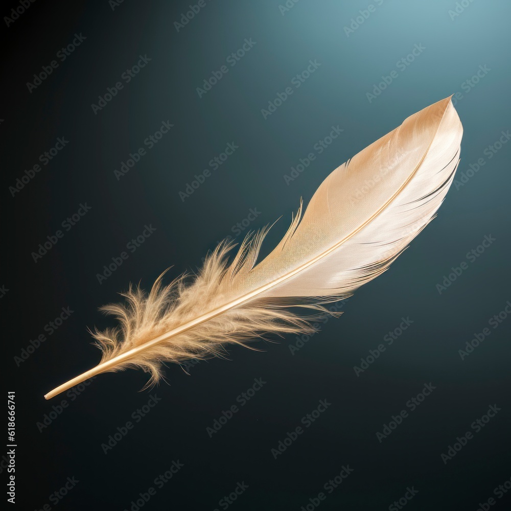 Obraz premium white feather on black background