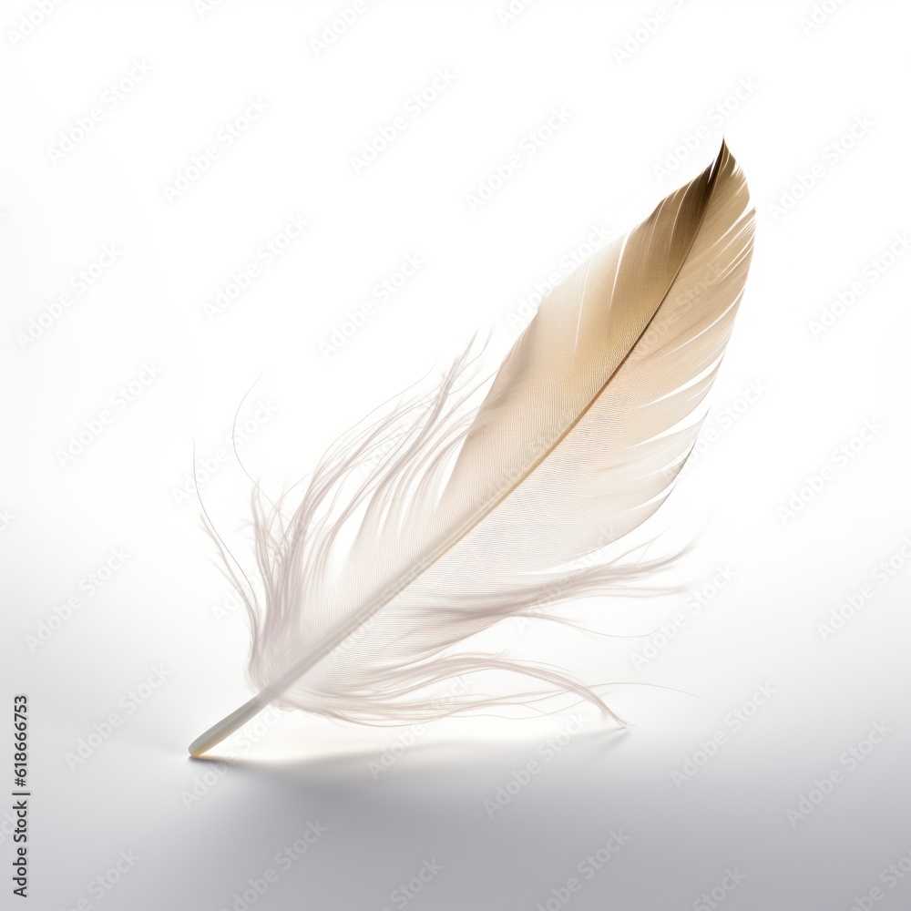 Obraz premium white feather on black background